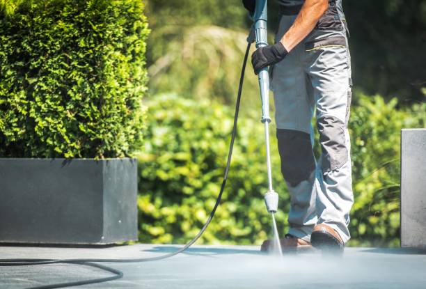 Best Solar Panel Cleaning  in Colonial Beach, VA